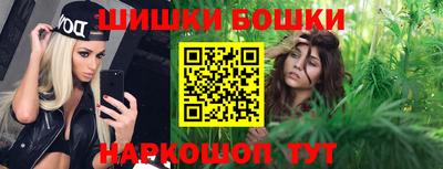 амф Сланцы
