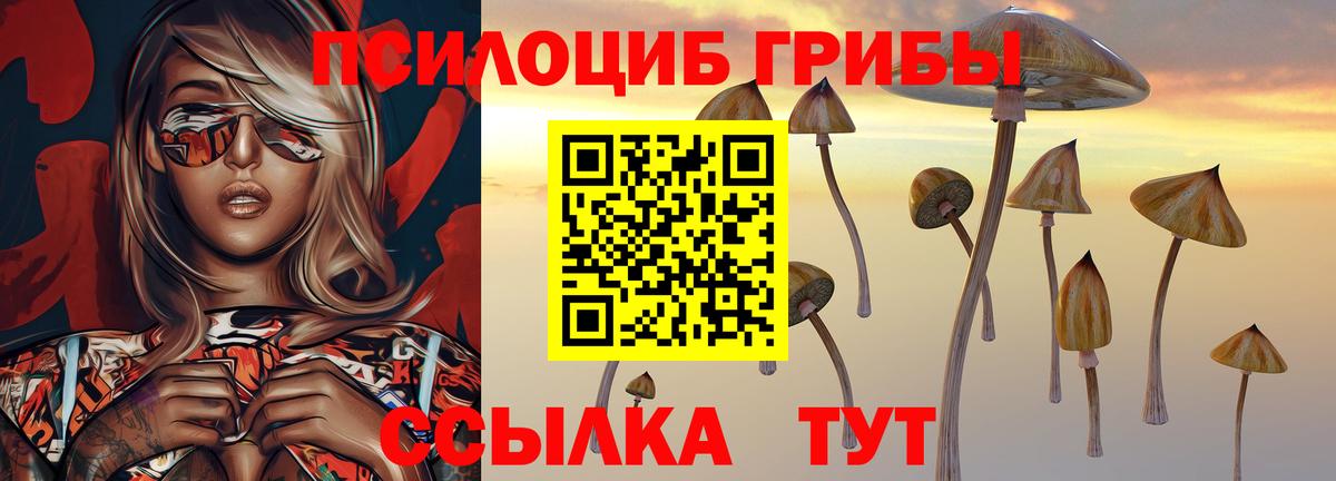 Псилоцибиновые грибы ЛСД  Вход с VPN  Алексин 