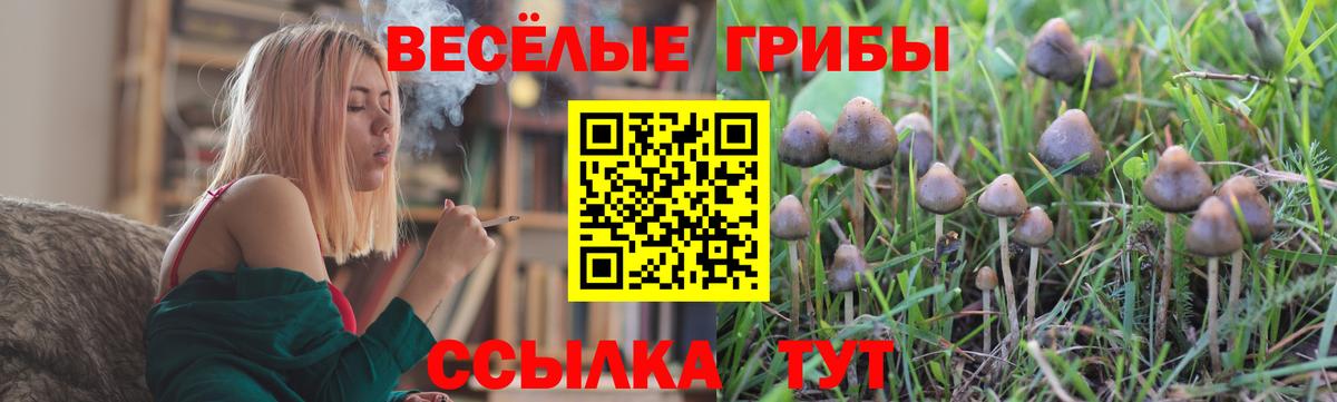 Псилоцибиновые грибы GOLDEN TEACHER Алексин