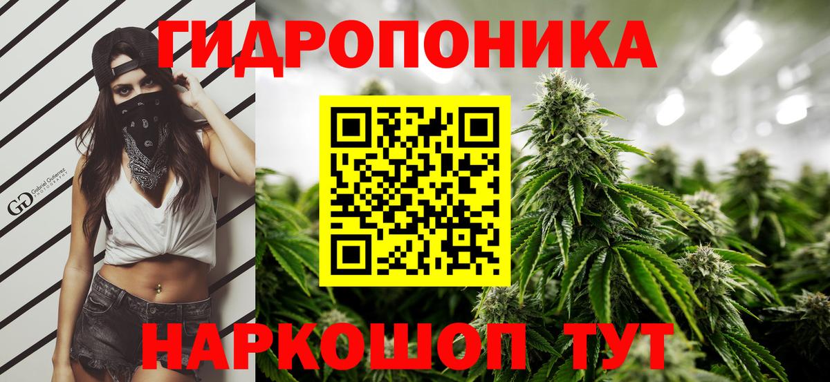 Каннабис марихуана Алексин